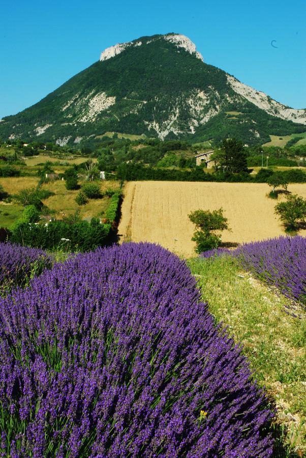 Rosans L'Ensoleillee Bed & Breakfast エクステリア 写真