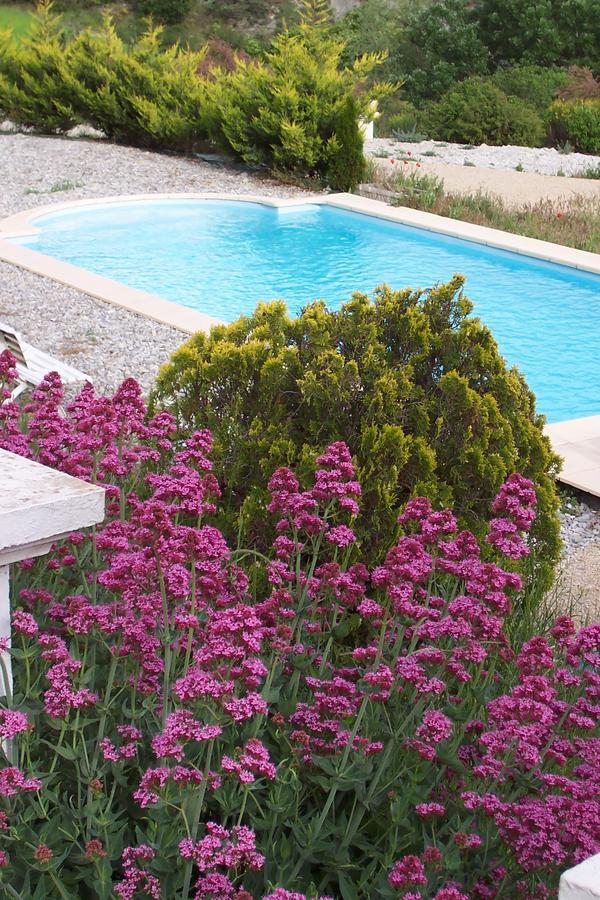Rosans L'Ensoleillee Bed & Breakfast エクステリア 写真